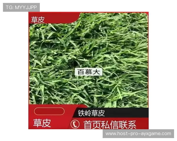 世界板球技术研究院发布草皮抗病维护新技术 世界板球技术研究院发布草皮抗病维护新技术